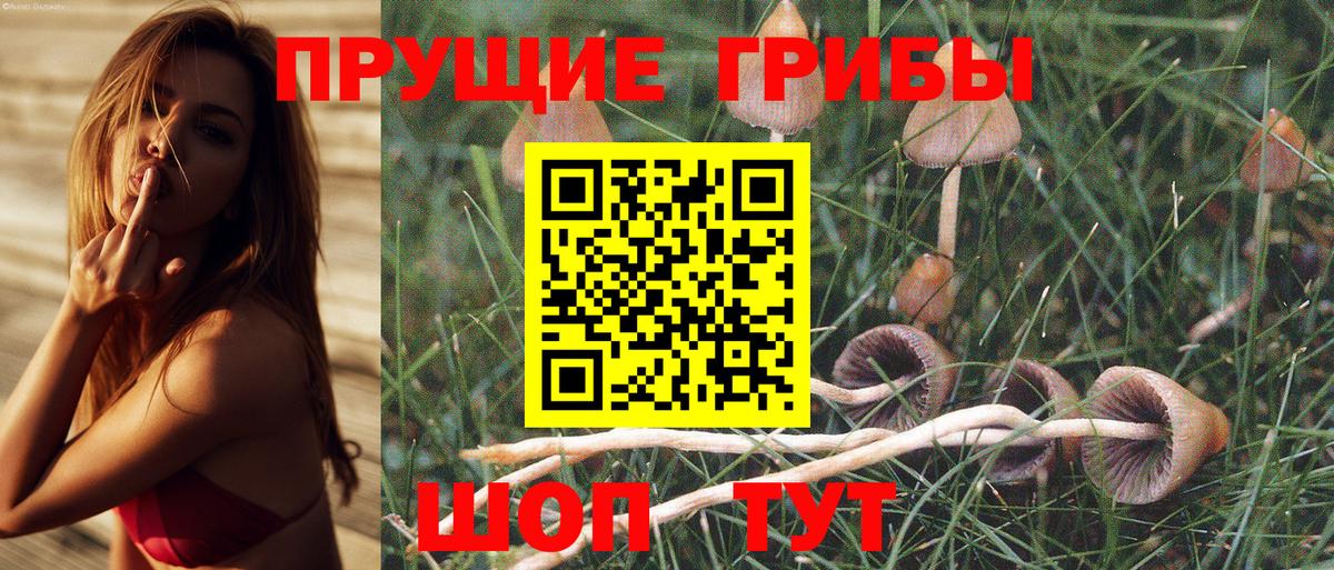 Галлюциногенные грибы MAGIC MUSHROOMS  Вход с VPN  Псилоцибиновые грибы Magic Shrooms  Миасс 